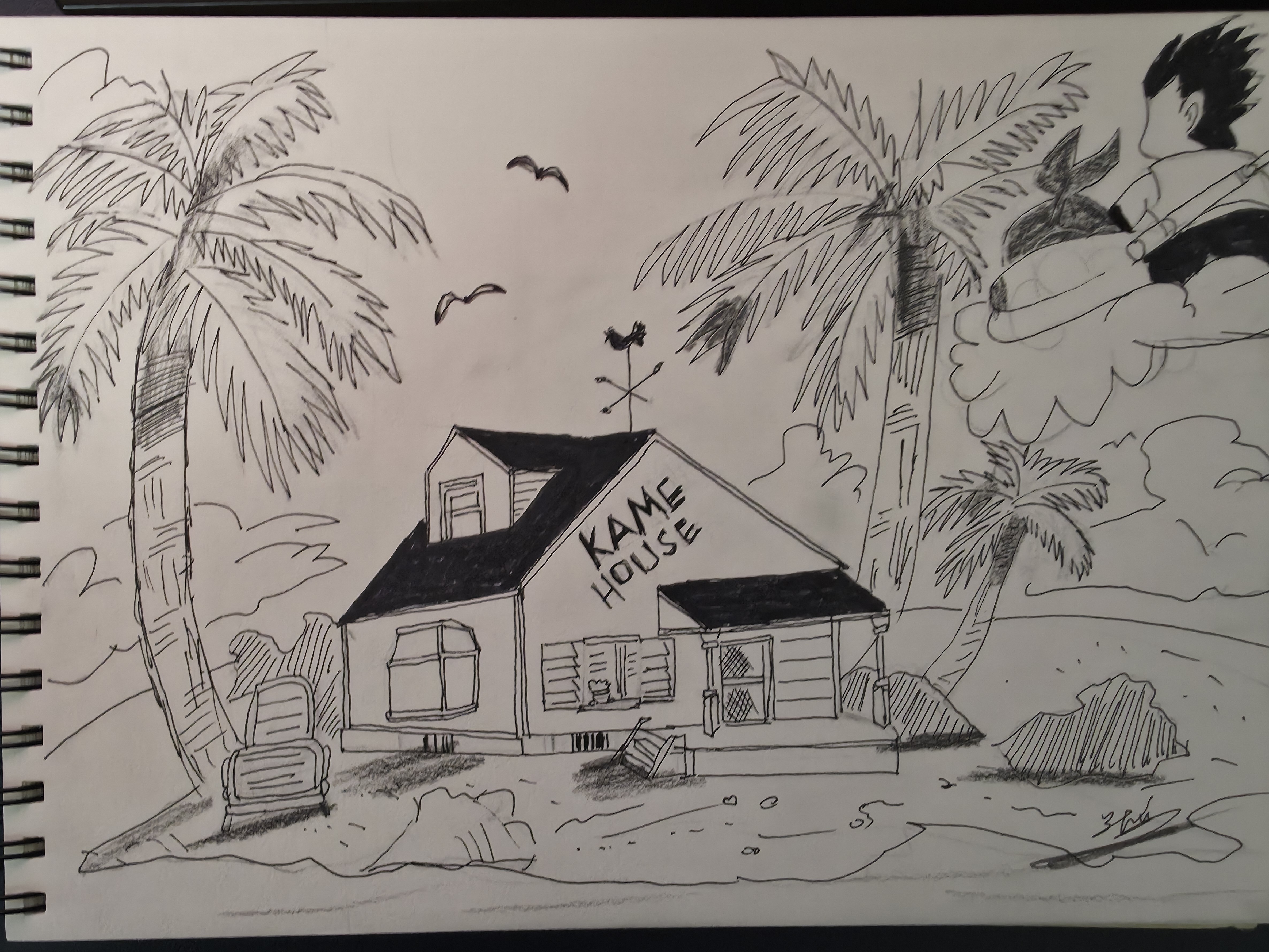 Dragon Ball - Kame House